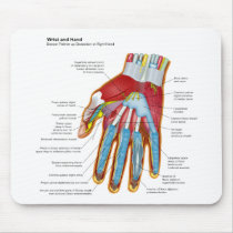 Anatomical Diagram of the Human Hand and Wrist Mousepad