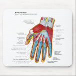 Anatomical Diagram of the Human Hand and Wrist mousepads