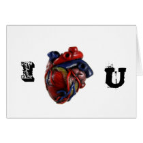 Anatomical Heart