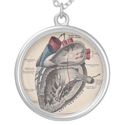 Anatomical Heart Diagram Vintage Necklaces by LadyLovelace