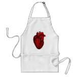 Anatomical Human Heart Aprons