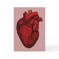 Anatomical Human Heart Cards