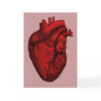 Anatomical Human Heart Cards