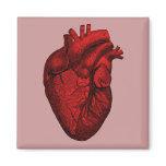 Anatomical Human Heart Fridge Magnet