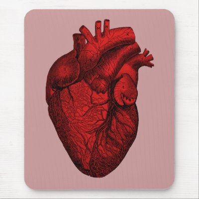 Anatomical Human Heart Mouse Pad by pounddesigns