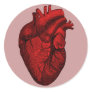 Anatomical Human Heart Sticker