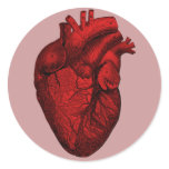 Anatomical Human Heart stickers