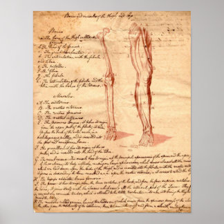 Human Anatomy Posters, Human Anatomy Prints - Zazzle UK