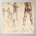 Anatomical  Studies posters