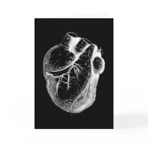 Anatomically Correct Heart Card