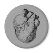 Anatomically Correct Heart Magnet