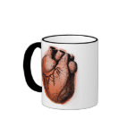 Anatomically Correct Heart Mug