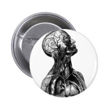Anatomy Bust Pin