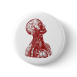 Anatomy Bust Red buttons