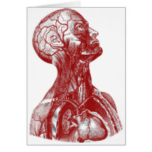 Anatomy Bust Red Cards