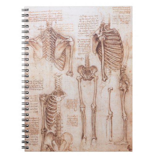 Anatomy Drawings Human Skeletons Leonardo da Vinci Notebook | Zazzle