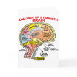 ANATOMY OF A FARMER'S BRAIN