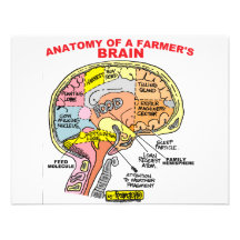 ANATOMY OF A FARMER'S BRAIN CUSTOM ANNOUNCEMENTS