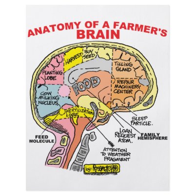 ANATOMY OF A FARMER'S BRAIN by agriculture_gifts