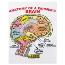 ANATOMY OF A FARMER'S BRAIN