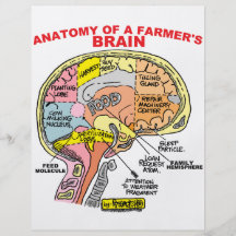 ANATOMY OF A FARMER'S BRAIN FULL COLOUR FLYER