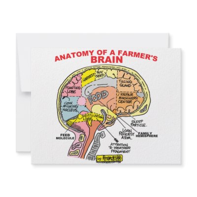 ANATOMY OF A FARMER'S BRAIN by agriculture_gifts