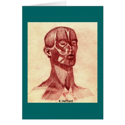 Anatomy of a Man by Hoffard
