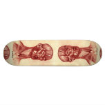 Anatomy of a Man skateboards