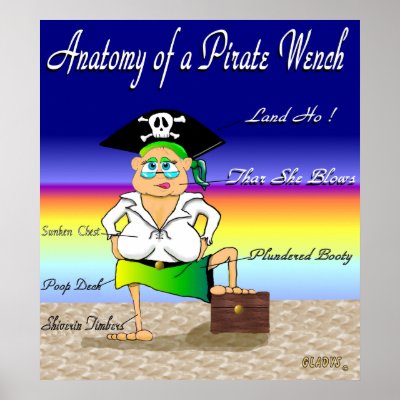 Anatomy of a Pirate Wench by cimmerrian