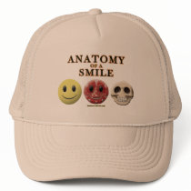Anatomy of a Smile