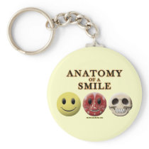 Anatomy of a Smile
