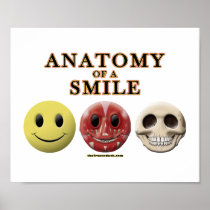 Anatomy of a Smile