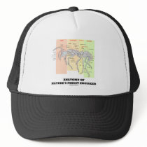 Anatomy Of Nature's Finest Engineer (Entomology)