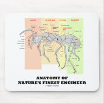 Anatomy Of Nature's Finest Engineer (Entomology)