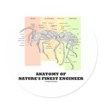 Anatomy Of Nature's Finest Engineer (Entomology)