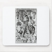 anatomy of  the respiratory system mouse mat