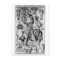 anatomy of  the respiratory system postcard