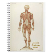 Anatomy Posterior notebooks