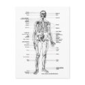 ANATOMY SKELETON T-SHIRTS AND GIFTS postcards