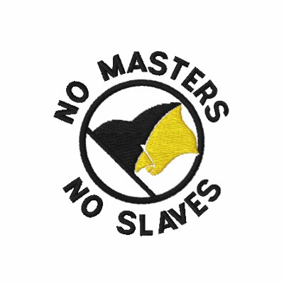 AnCap Flag Shirt Polo by Libertymaniacs