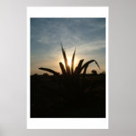 Anceint Sky posters