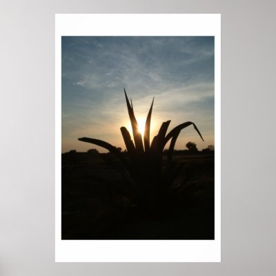 Anceint Sky Posters by WorldWideLive