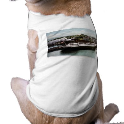 Anchor Line Dock, Marquette, Michigan 1908 Dog Shirt by scenesfromthepast