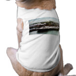 Anchor Line Dock, Marquette, Michigan 1908 pet clothing