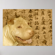 Ancient Chinese Shar Pei Puppy Dog Print