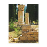 Ancient columns in Pamukkale, Hierapolis, Turkey Post Card