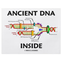 Ancient DNA Inside (DNA Replication Humour)
