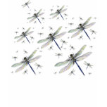 Ancient Dragonfly Fleet T-Shirt