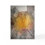 Ancient Golds cards