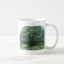Ancient Oak Tree at Sycharth Castle, Powys Coffee Mugs